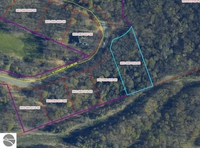 Beach Lot For Sale in Cedar, Michigan