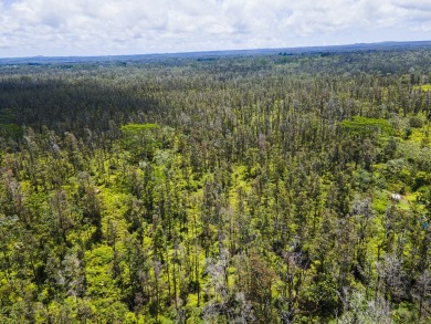 Beach Acreage For Sale in Keaau, Hawaii