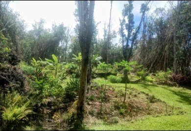 Beach Lot For Sale in Pahoa, Hawaii