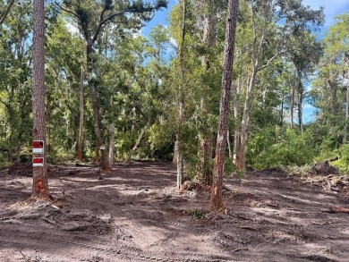 Beach Lot For Sale in Tampa, Florida