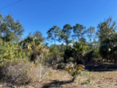 Beach Lot For Sale in Punta Gorda, Florida