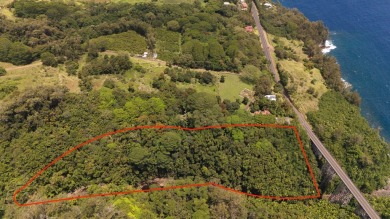 Beach Acreage For Sale in Papaaloa, Hawaii