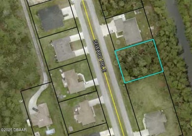 Beach Lot For Sale in Palm Coast, Florida