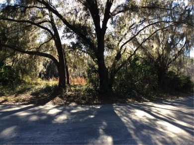 Beach Acreage Off Market in Crystal River, Florida