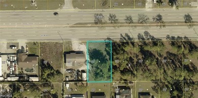 Beach Lot For Sale in Lehigh Acres, Florida