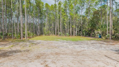 Beach Lot For Sale in New Smyrna Beach, Florida