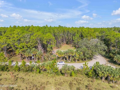 Beach Lot For Sale in New Smyrna Beach, Florida