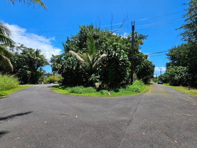 Beach Lot For Sale in Pahoa, Hawaii