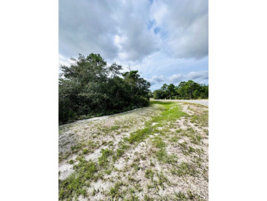 Beach Lot For Sale in Eastpoint, Florida