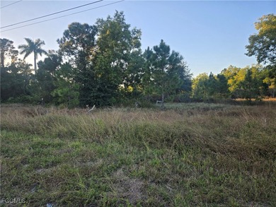 Beach Lot For Sale in Lehigh Acres, Florida