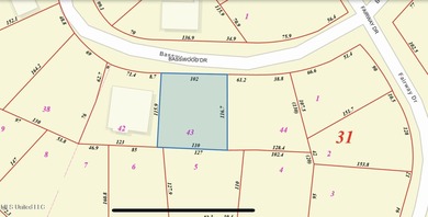 Beach Lot For Sale in Pass Christian, Mississippi