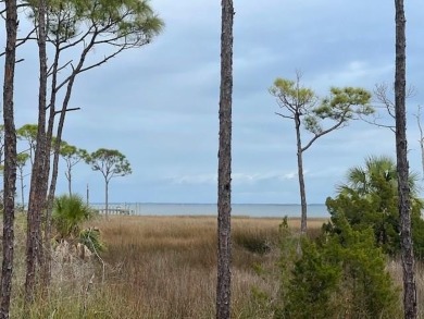 Beach Lot For Sale in Port St Joe, Florida