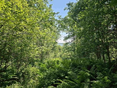 Beach Lot For Sale in Washburn, Wisconsin