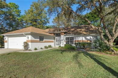 Beach Home Sale Pending in Homosassa, Florida