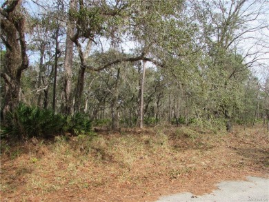 Beach Lot Off Market in Homosassa, Florida