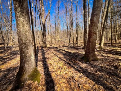 Beach Acreage For Sale in Richland, New York