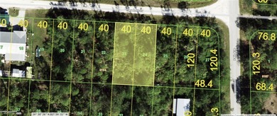 Beach Lot For Sale in Punta Gorda, Florida
