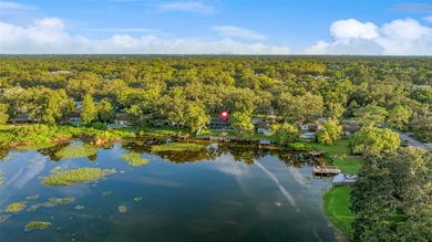 Beach Home Sale Pending in Tampa, Florida