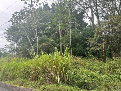 Beach Acreage For Sale in Keaau, Hawaii