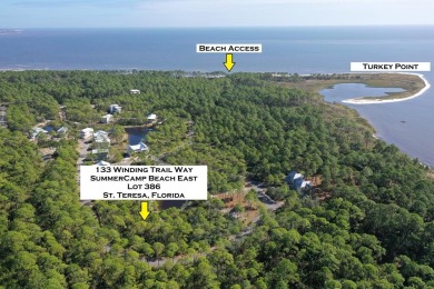 Beach Lot For Sale in Sopchoppy, Florida