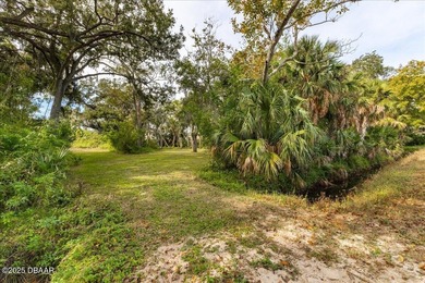 Beach Lot For Sale in Port Orange, Florida