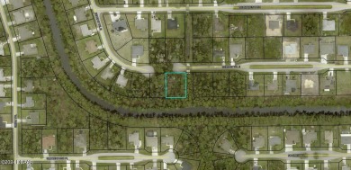 Beach Lot For Sale in Palm Coast, Florida