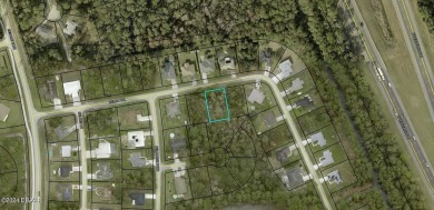 Beach Lot For Sale in Palm Coast, Florida