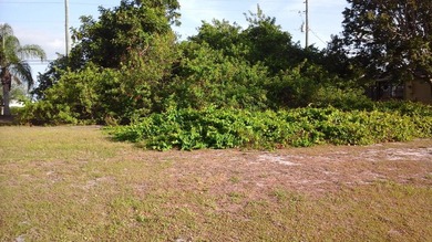Beach Lot For Sale in Sebastian, Florida