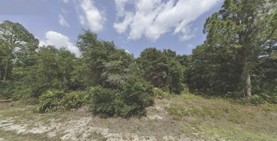Beach Lot For Sale in North Port, Florida