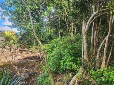 Beach Acreage For Sale in Pahoa, Hawaii