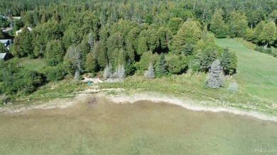 Beach Lot For Sale in Garden, Michigan