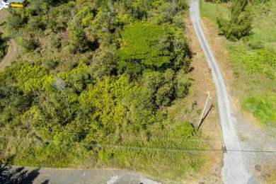 Beach Acreage For Sale in Kurtistown, Hawaii