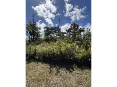 Beach Lot For Sale in Kurtistown, Hawaii