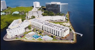 Beach Condo For Sale in Tampa, Florida
