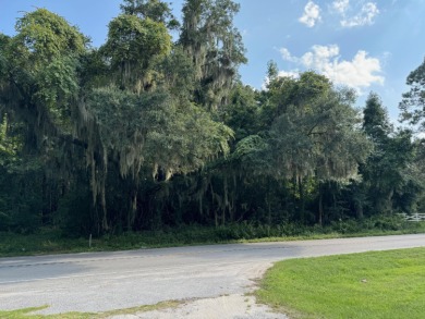 Beach Acreage For Sale in Edisto Island, South Carolina