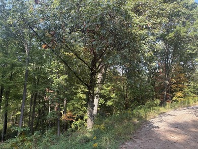 Beach Acreage For Sale in Norton Shores, Michigan