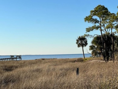 Beach Lot For Sale in Port St Joe, Florida