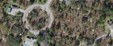 Beach Lot For Sale in Homosassa, Florida