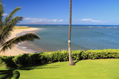 Perfect Ocean Front Location - Menehune Shores #218 - Beach Vacation Rentals in Kihei, Maui, Hawaii on Beachhouse.com