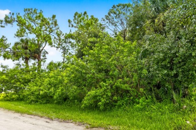 Beach Lot For Sale in Vero Beach, Florida
