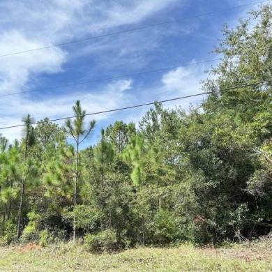 Beach Acreage For Sale in Pawleys Island, South Carolina