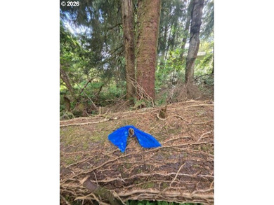 Beach Lot For Sale in Cannon Beach, Oregon