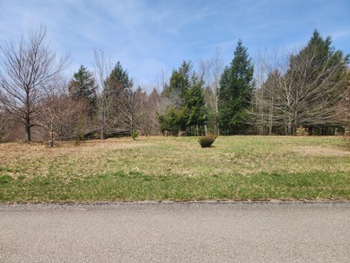 Beach Lot For Sale in Onekama, Michigan