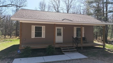 Beach Home For Sale in Manistee, Michigan