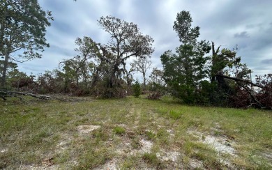 Beach Lot For Sale in Perry, Florida