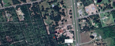 Beach Lot For Sale in Mims, Florida