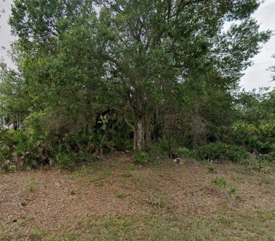 Beach Lot For Sale in Punta Gorda, Florida