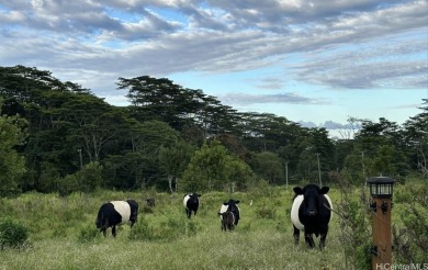 Beach Acreage For Sale in Kurtistown, Hawaii