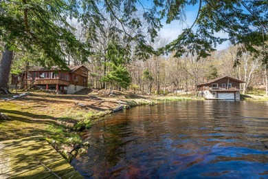 Beach Home For Sale in Free Soil, Michigan