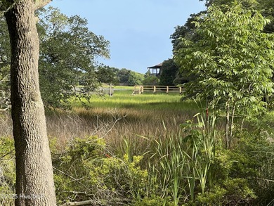 Beach Lot For Sale in Ocean Isle Beach, North Carolina